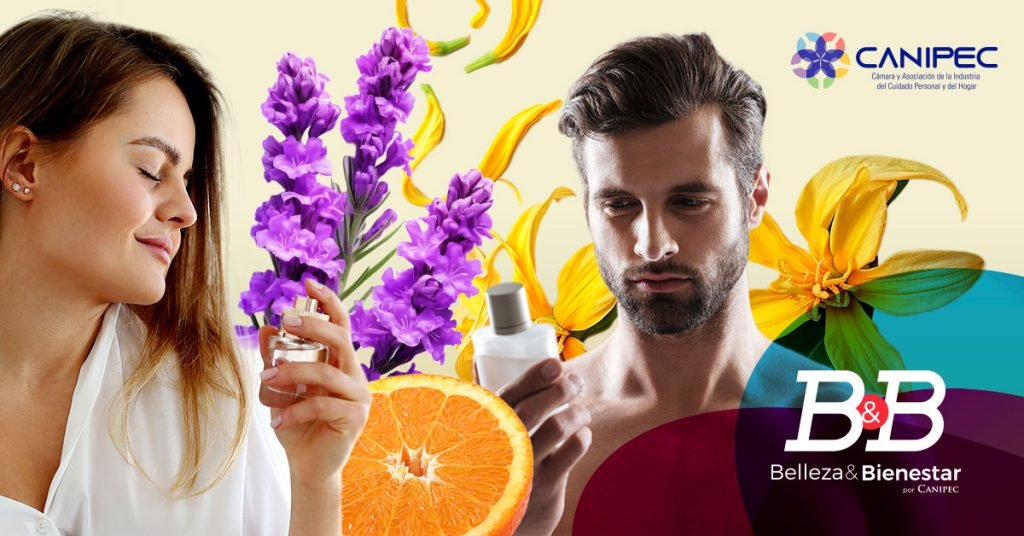 notas olfativas genderless