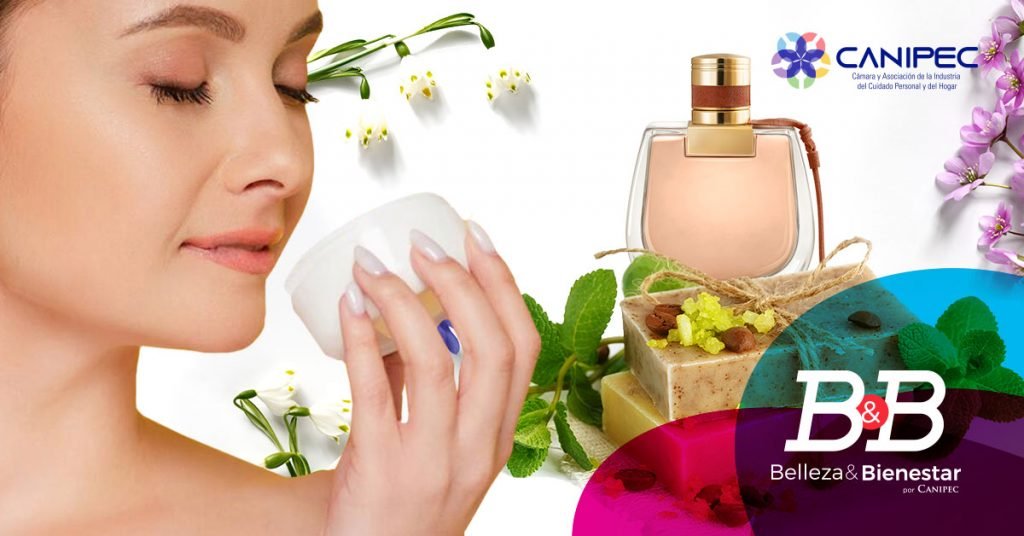 Aromaterapia conexión piel-cerebro