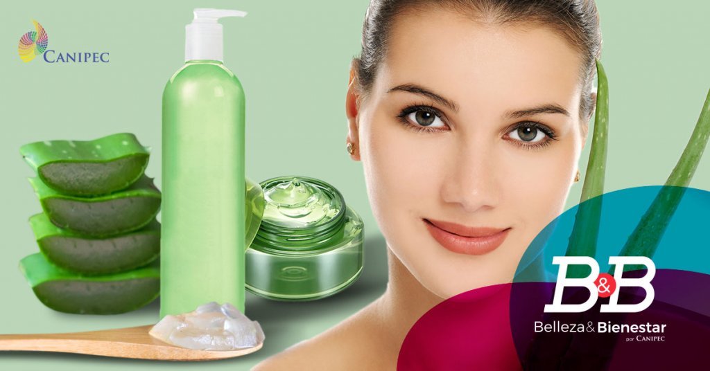 Aloe vera. Beneficios para la piel