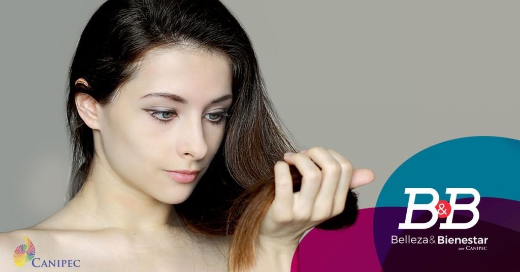 Cómo Cuidar y Mantener Hermoso el Cabello Graso