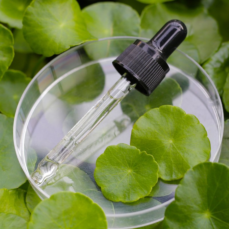 centella asiática