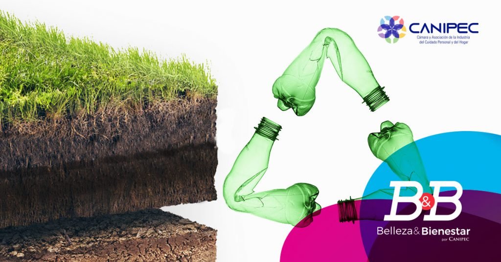 Día Internacional de la Conservación del Suelo