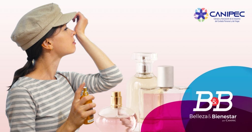 Guía elegir fragancia