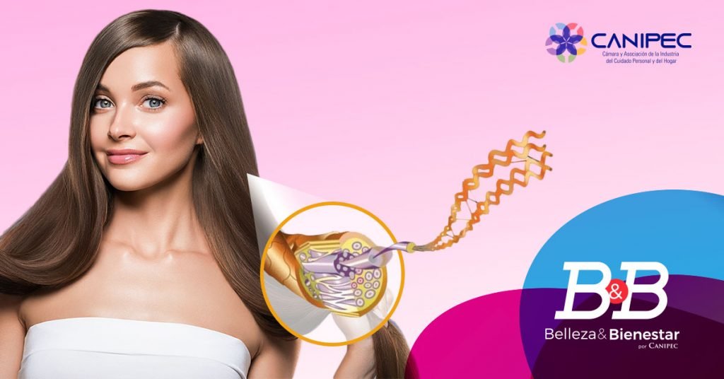 Elementos que componen tu cabello