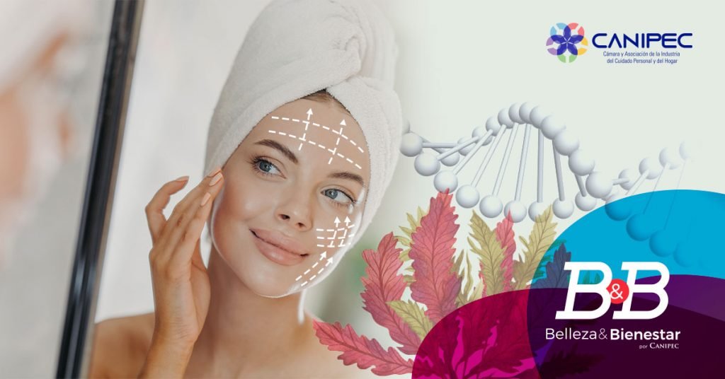 innovaciones en activos para el cuidado de la piel Hypskin